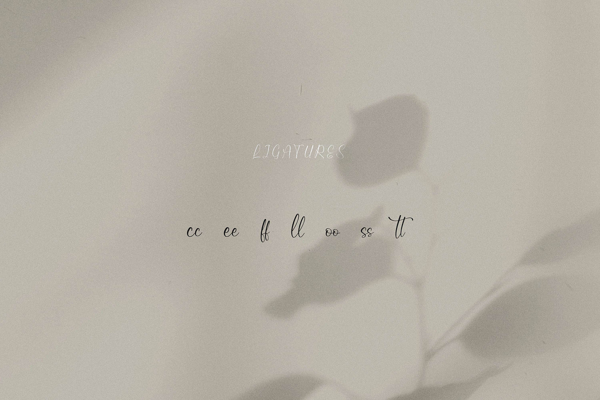 Qireenatta, a Script Font by Integritype Studio (Photo 11 of 15)