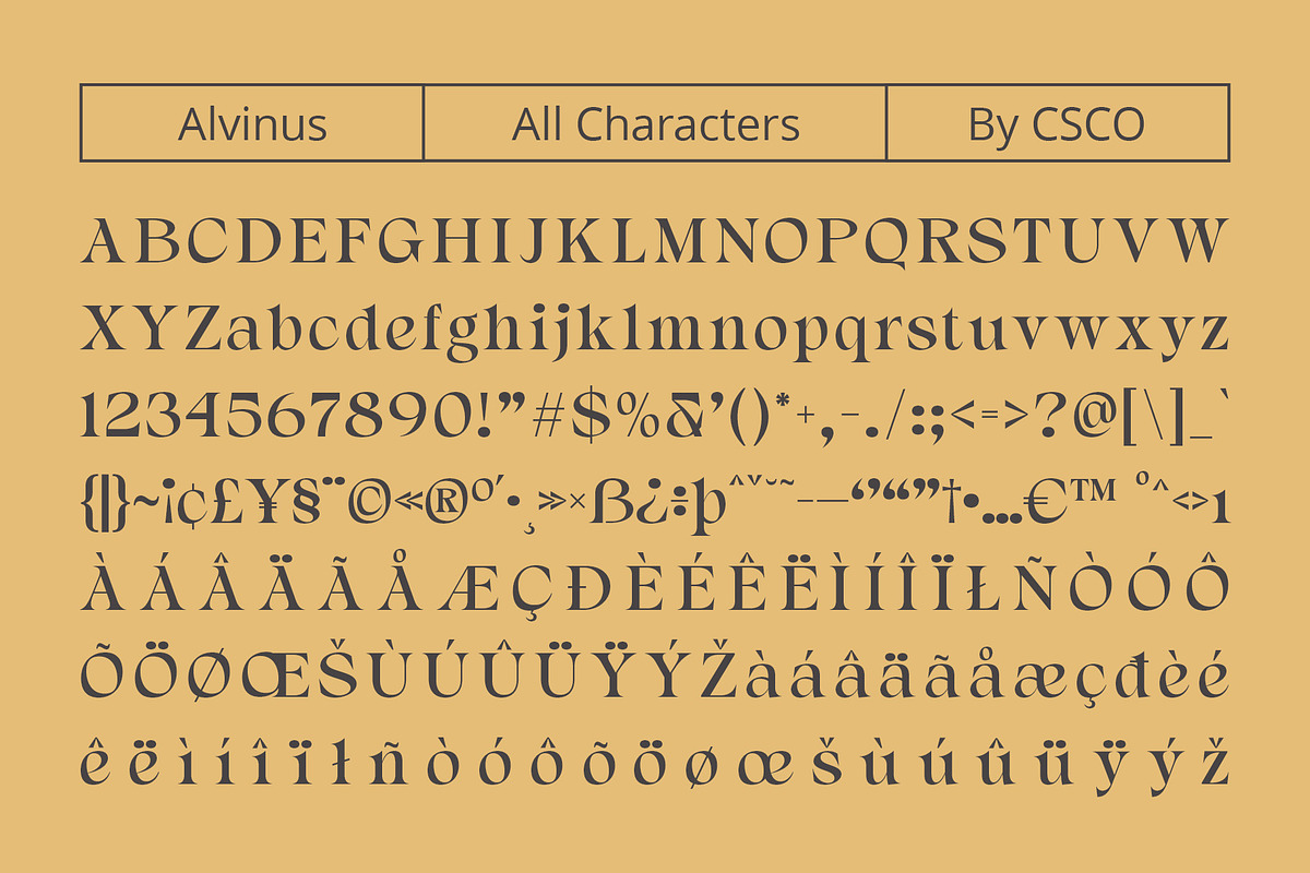 Alvinus – Elegant Font, a Serif Font by Craft Supply Co. (Photo 8 of 8)