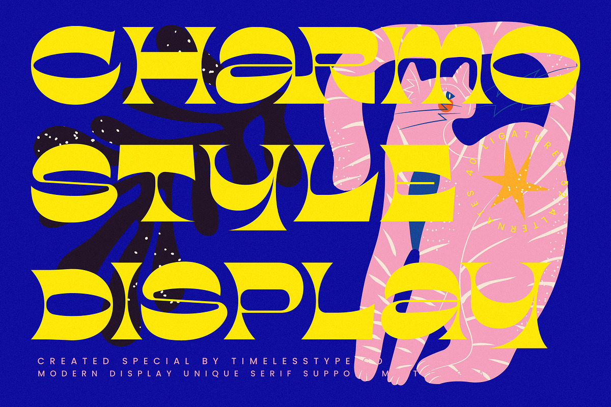 Charmo Style Modern Display Serif, a Serif Font by timelesstype.co (Photo 1 of 20)
