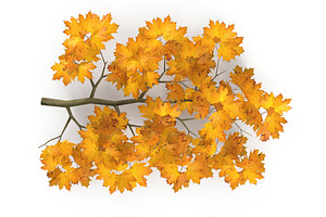 Maple Branch Yellow V2