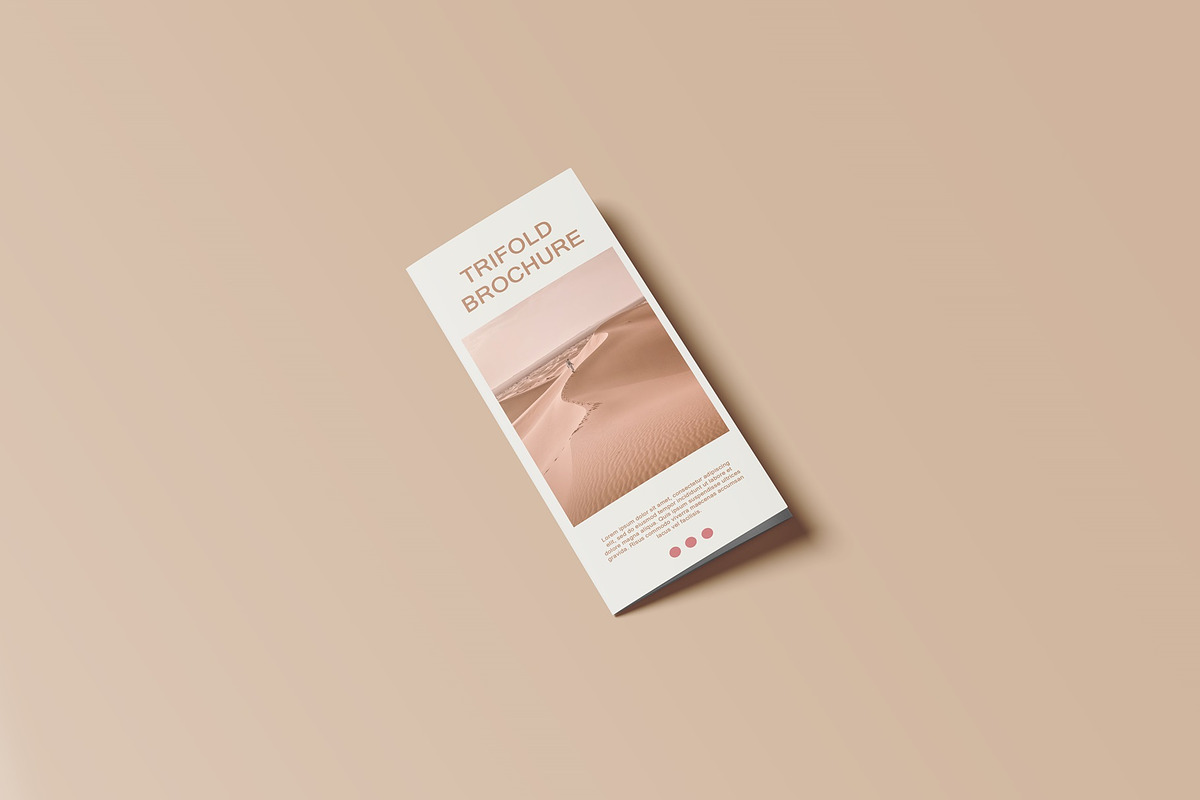Trifold Brochure Mockup, a Books & Magazine Mockup by Lxadesign (Photo 4 of 18)