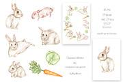 Watercolor Life Cycle Collection, an Education Illustration by MayaNavits (Thumbnail 13 of 15)