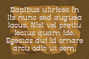 Diazy - Modern Vintage Font, a Serif Font by Salamahtype (Thumbnail 5 of 7)