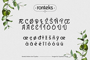 Ronteks, a Serif Font by ilhamtaro (Thumbnail 11 of 12)