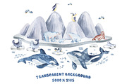 Polar Animals Watercolor Collection, an Animal Illustration by LenArt (Thumbnail 8 of 16)
