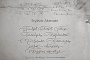 Capricious Ambrosia Quirky Font, a Handwritten Font by Letterhanna Studio (Thumbnail 8 of 13)