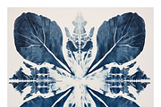 Cybo Collection · Cyanotype Botanics, a Texture Illustration by milatovar (Thumbnail 18 of 19)