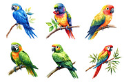 Parrots Watercolor Clipart,, an Illustration by Dream Creation (Thumbnail 3 of 7)