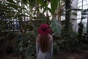 Photo Expert - Lightroom Presets, an Action Add-On by Willa (Thumbnail 6 of 13)