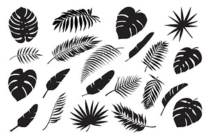 Palm leaves silhouettes. Tropical, a Decorative Illustration by Frogella