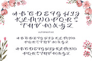 Shafeera Script Font, a Script Font by yantodesign (Thumbnail 11 of 13)
