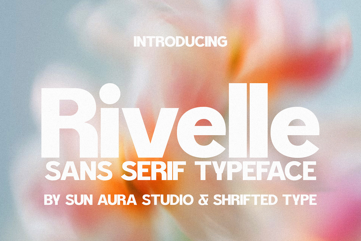 Rivelle - Modern Sans Serif, a Sans Serif Font by Schrifted Type (Photo 1 of 8)