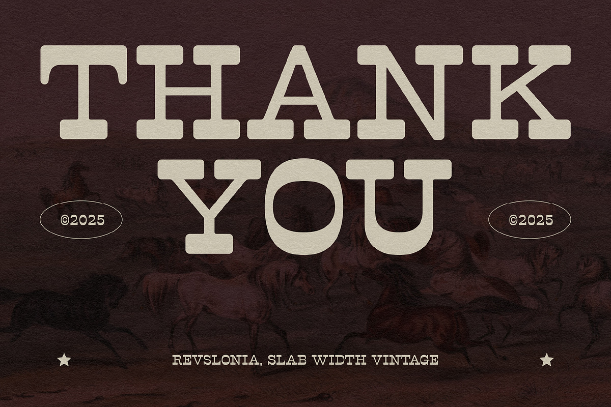 Revslonia, a Serif Font by graphicook (Photo 10 of 10)