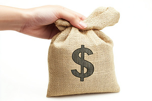 Female hand holding burlap bag with dollar symbol and banknotes on white backgr, a Business Photo by AlyaAnd
