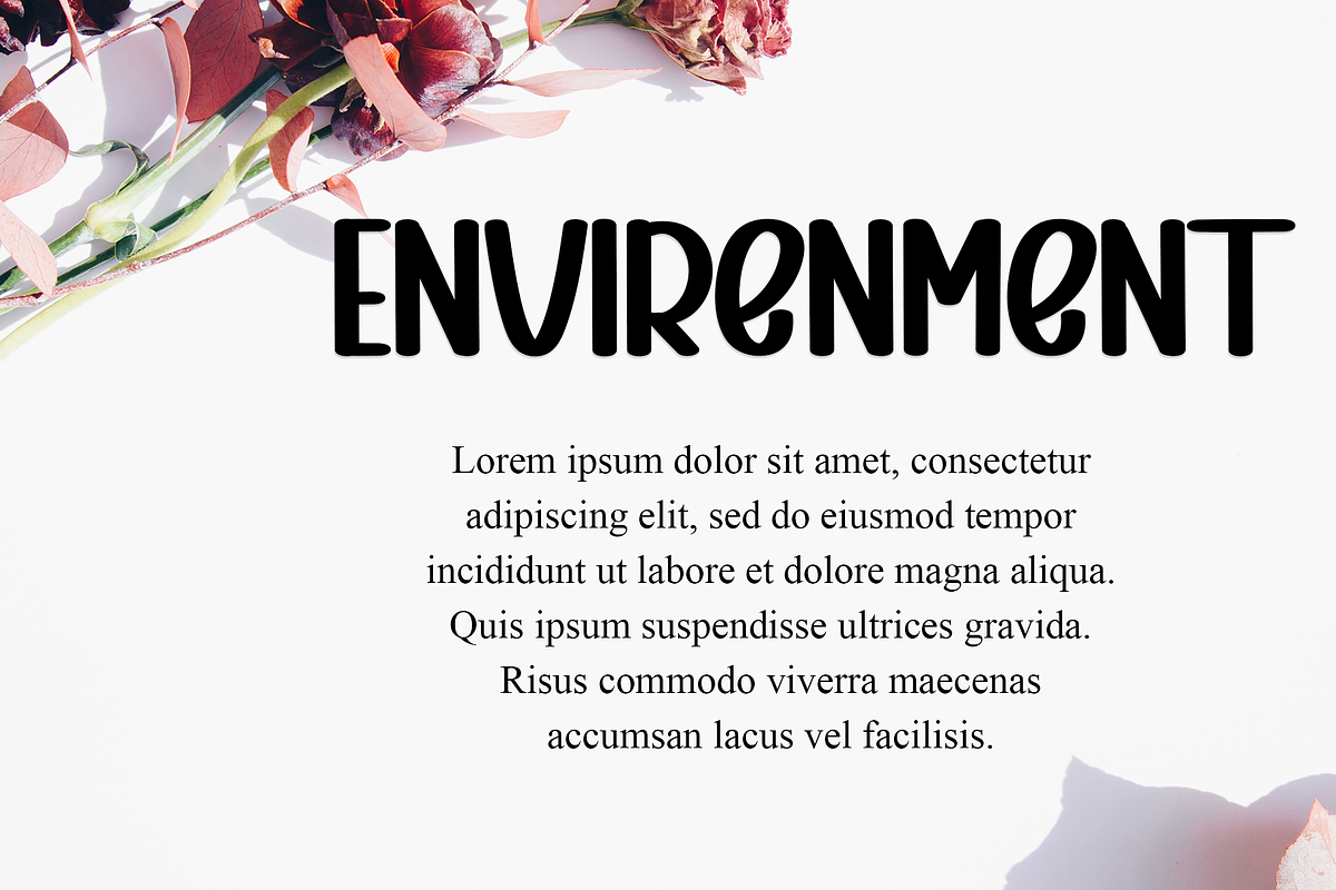 Special Sunday, a Serif Font by FreshTypeINK (Photo 2 of 8)