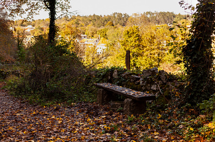 Beanch with dead leaves in autumn, a Nature Photo by Bepslabor