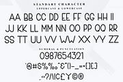 Write Winter, a Sans Serif Font by InermediaSTUDIO (Thumbnail 7 of 8)