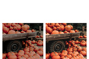 10 Hello Autumn Lightroom Presets, a Preset Add-On by MockTurtleStudio (Thumbnail 5 of 9)