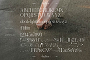 Shoftime A New Modern Serif Font, a Serif Font by Storytype Studio (Thumbnail 13 of 15)