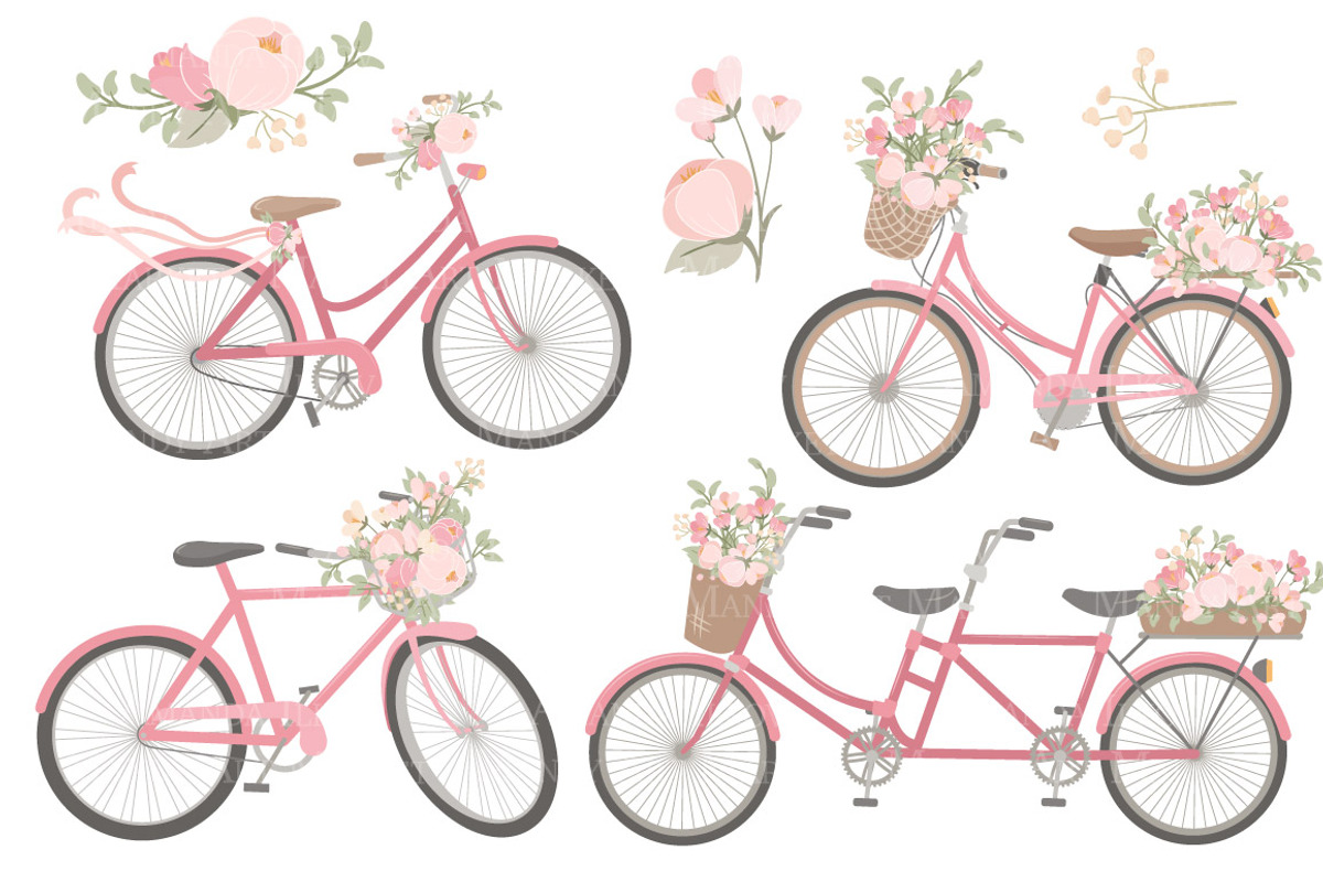 Soft Pink Floral Bicycles Clipart, an Illustration by Amanda Ilkov (Photo 5 of 5)