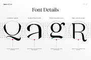 JUST Serif Modern Editorial Typeface, a Serif Font by JUST Creative (Thumbnail 9 of 17)
