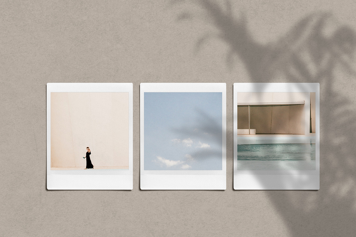 Natural Shadow Play Overlays, a Texture Graphic by Feather & Sage Design (Photo 3 of 17)