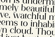 Blureigh Typeface - Hitype, a Serif Font by Hitype (Thumbnail 4 of 10)