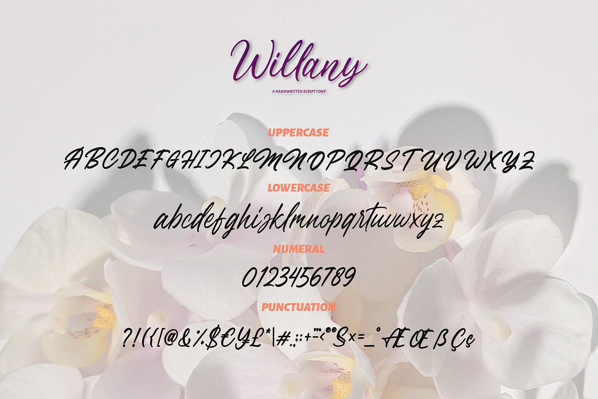 Willany - Handwritten Font, a Handwritten Font by Alphaleonis_std (Photo 7 of 7)