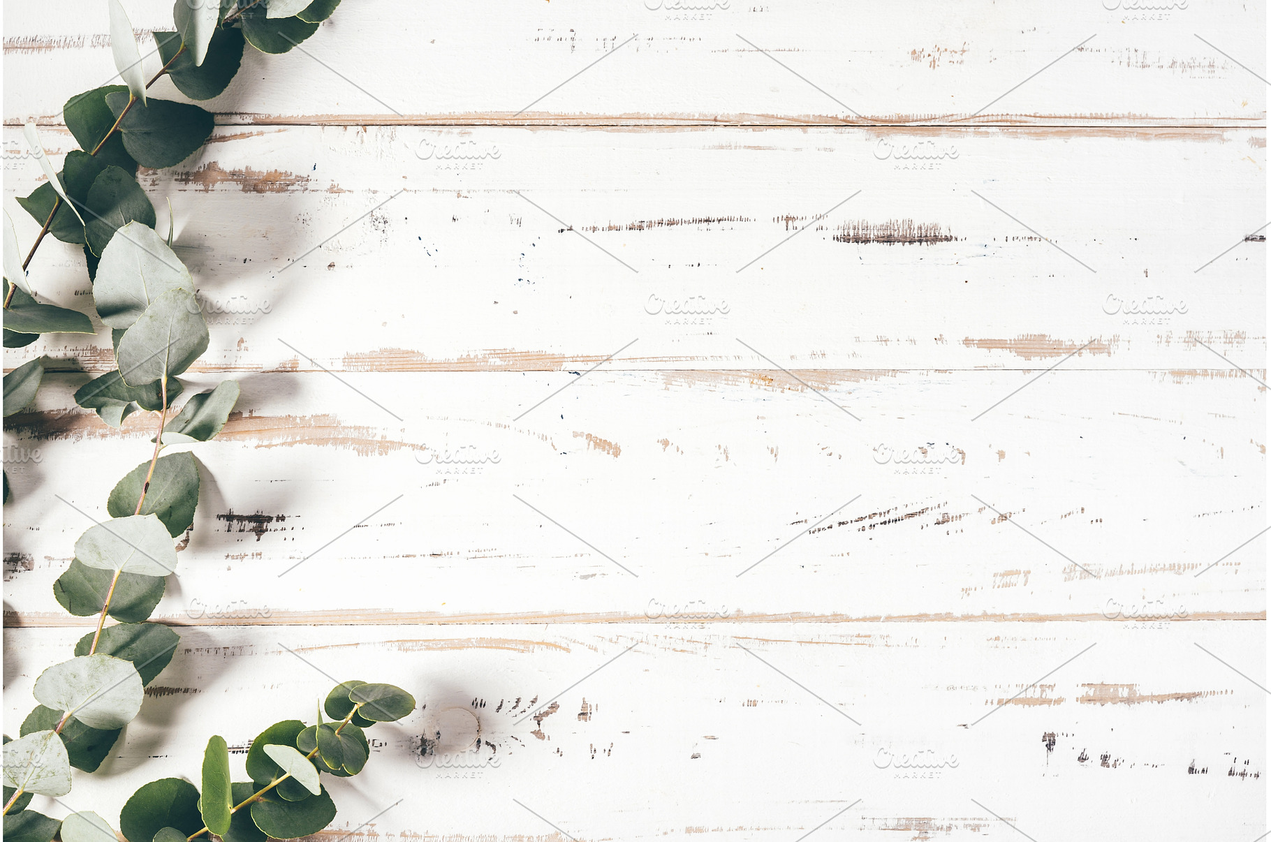Frame made of eucalyptus branches on, an Abstract Photo by Yummypic