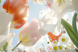 Tulip and daffodil flowers in sunny field with blue sky backgrou, a Photo by Dvoevnore photos