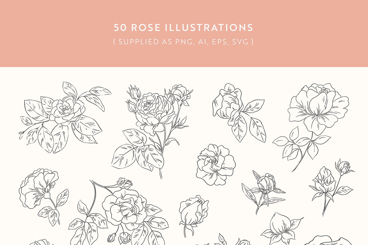 Rose Garden Vector Illustrations, an Illustration by Emma Webb Studio (Photo 4 of 8)
