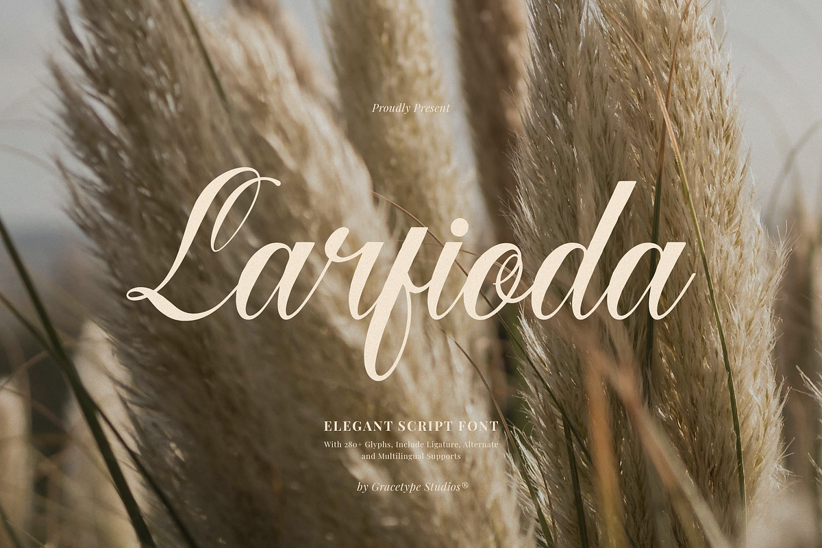 Larfioda | Elegant Script Font, a Script Font by gracetype_studio (Photo 1 of 12)
