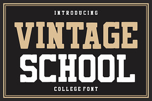 Vintage School, a Slab Serif Font by Fourteen Letter