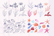 Hand-Drawn Marine Clipart & Patterns, a Decorative Illustration by CapriceMeDesigns (Thumbnail 4 of 21)