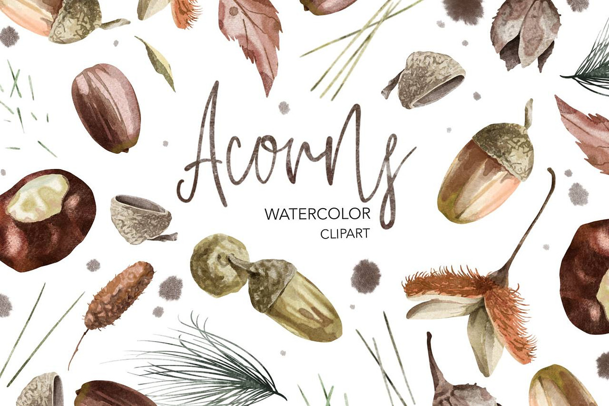 Acorns Watercolor Clipart. Forest., a Decorative Illustration by NKTKNS (Photo 1 of 4)