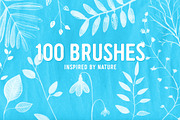 100 PS nature brushes, a Brush Add-On by Anna's Creative Store (Thumbnail 1 of 4)