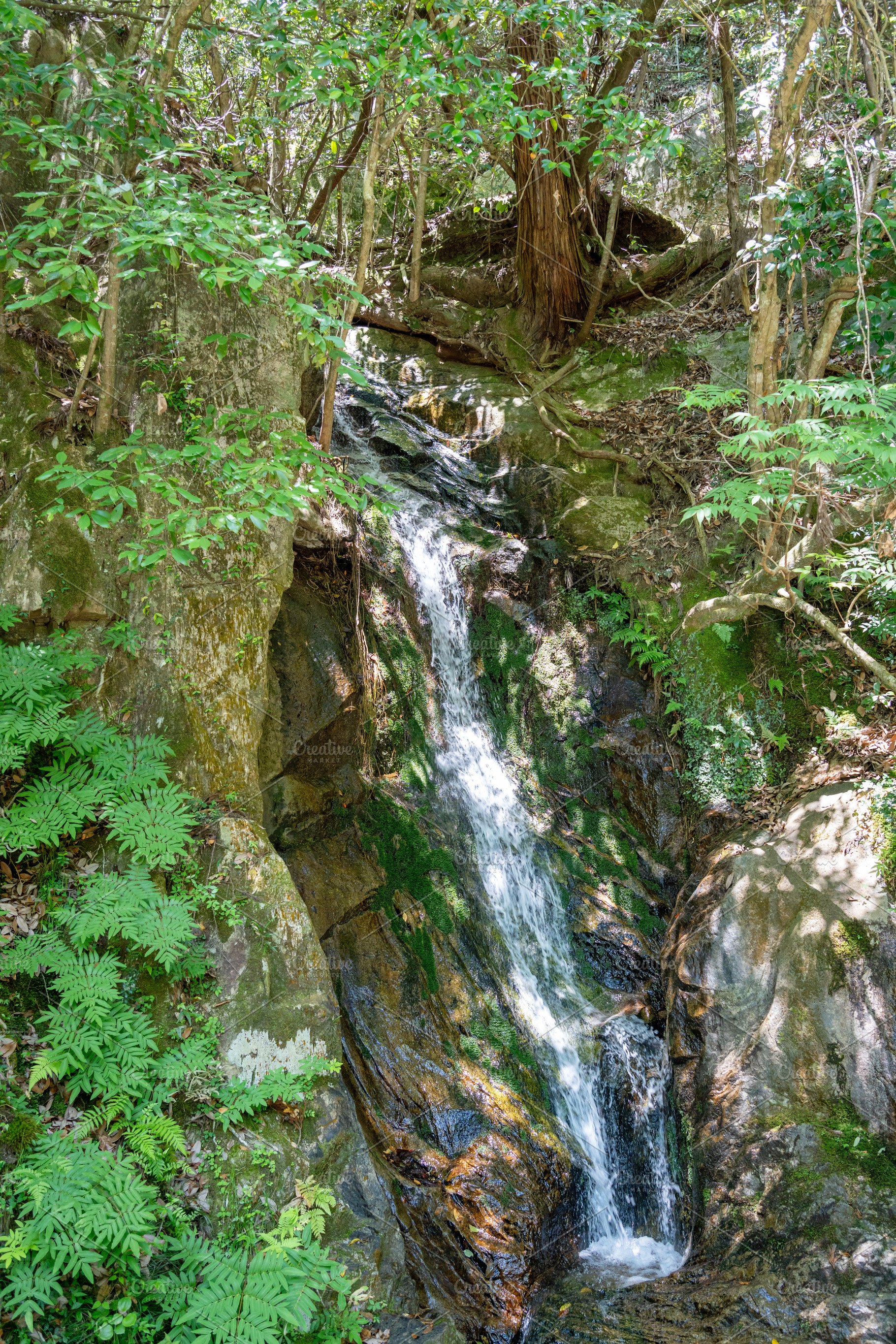 Waterfall at Mitaki-Dera temple in Hiroshima surrounded by mossy, an Architecture Photo by GoodGoods