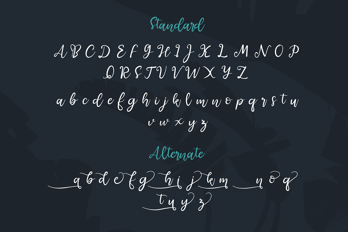 Steemsa | Funny Script Font, a Script Font by windestrian (Photo 3 of 6)