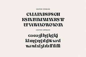 Christopher Retro Bold Serif