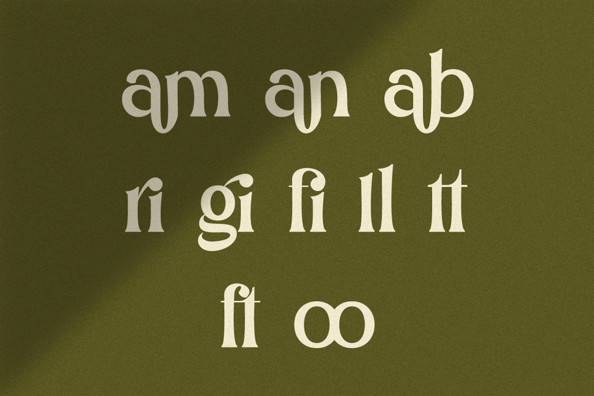 Argillites - Display Serif Font, a Serif Font by RockboyStd (Photo 11 of 12)