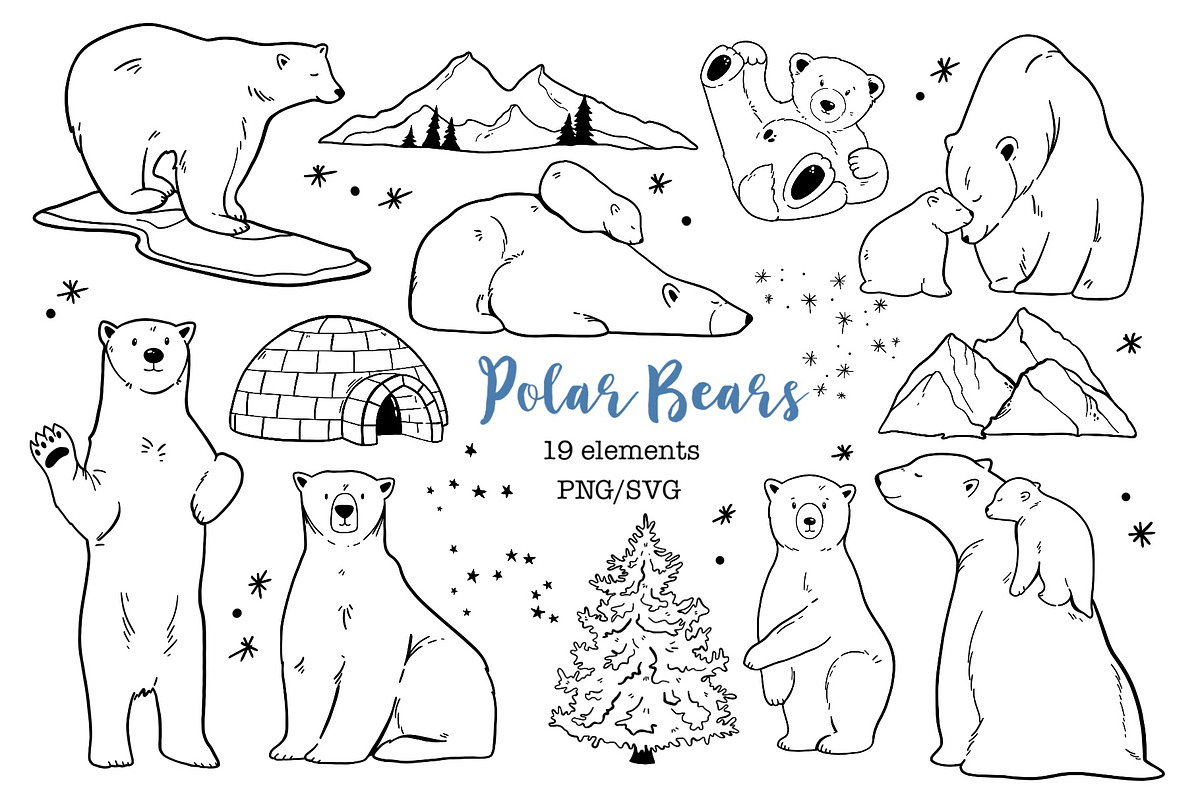 Polar Arctic Bear Clipart PNG SVG, an Animal Illustration by ArtGiftsStudio (Photo 1 of 5)