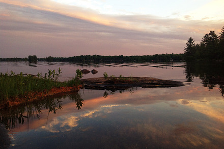 Peaceful Lake In The Forest preview 6