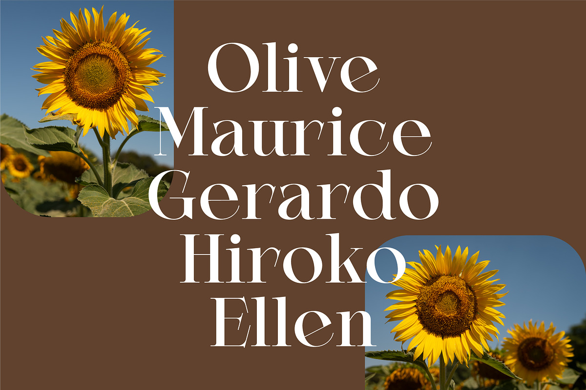 Averie Brenton - Serif Font Family, a Serif Font by Grezline Studio (Photo 9 of 12)