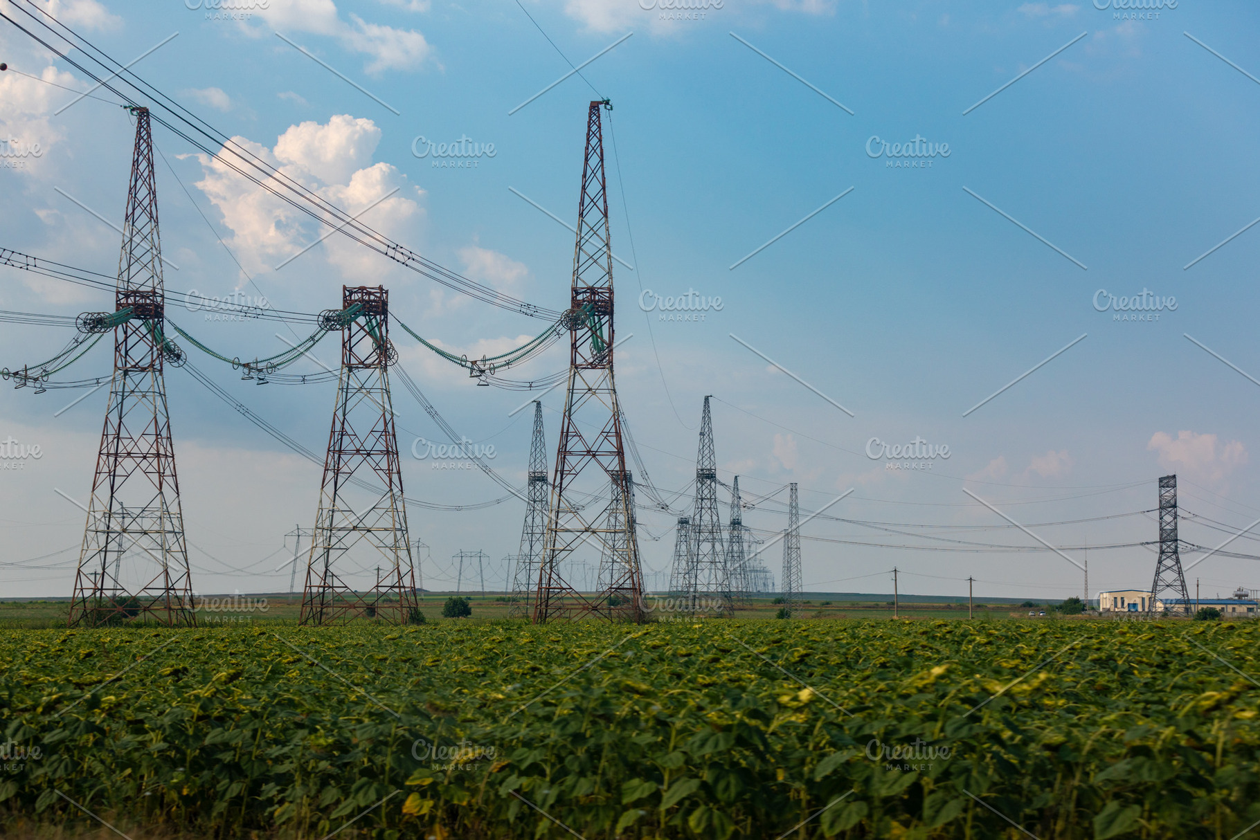 Rows of high voltage power lines stretch across a green agricultural field unde, a Technology Photo by Ales Munt