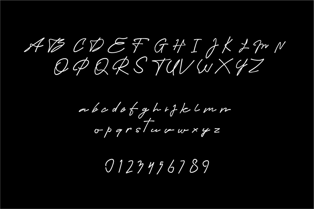 Barack Modern signature script font, a Script Font by WAP (Photo 6 of 6)