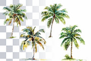 8 Palm Trees Watercolor Clipart, a Seasonal Illustration by Loony Dream Designs (Thumbnail 2 of 7)