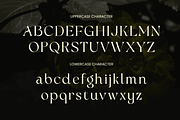 Bulgaria Modern Unique Swash Luxury, a Serif Font by Sensatype (Thumbnail 10 of 12)