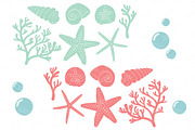 Modern Chic Vector Seashells, an Illustration by Amanda Ilkov (Thumbnail 5 of 5)