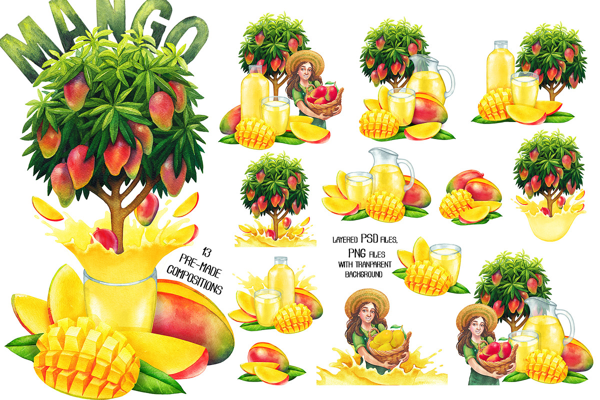 Watercolor Mango collection, a Food Illustration by Ekaterina Glazkova (Photo 3 of 6)