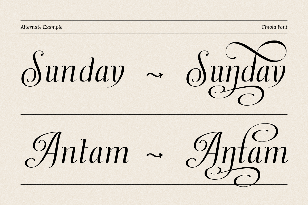 Dh Finola - 7 Elegant Serif Fonts, a Serif Font by Dharmas Foundry (Photo 7 of 14)